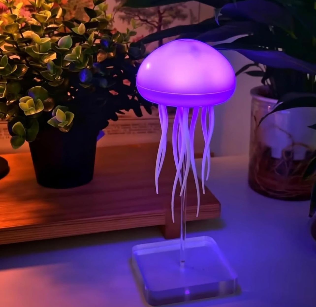 Ocean Glow Jellyfish Lamp 🪼.